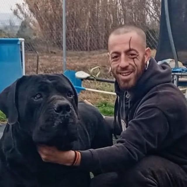 Boerboel del Norte profile photo
