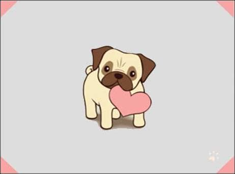 Centurion Boerboels profile photo