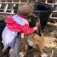 CLAD Guard Boerboels profile photo