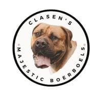 Clasen's Majestic Boerboels profile photo