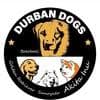 Durban Dogs profile photo