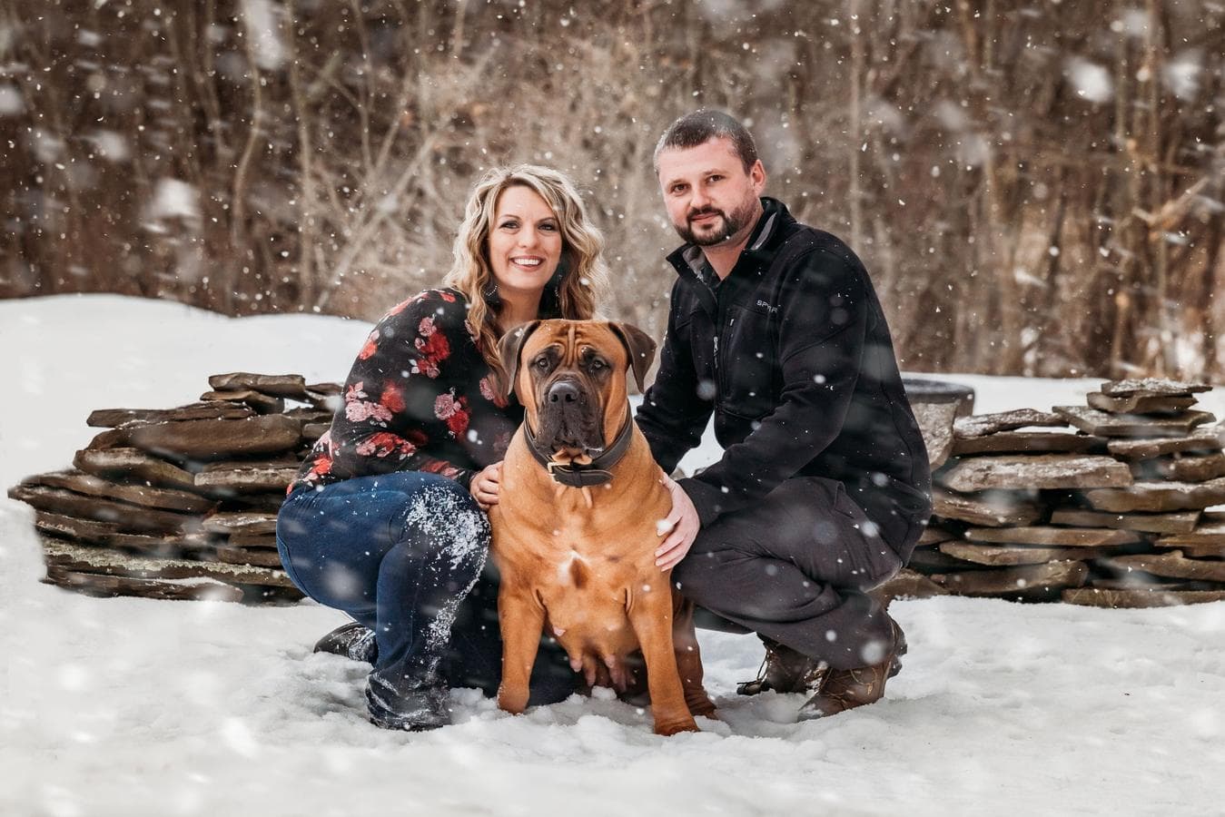 Freedom Boerboels profile photo