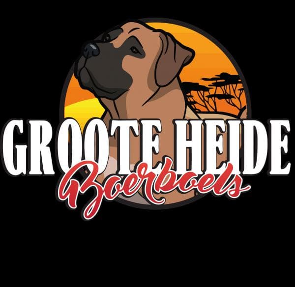 Groote Heide Boerboels profile photo