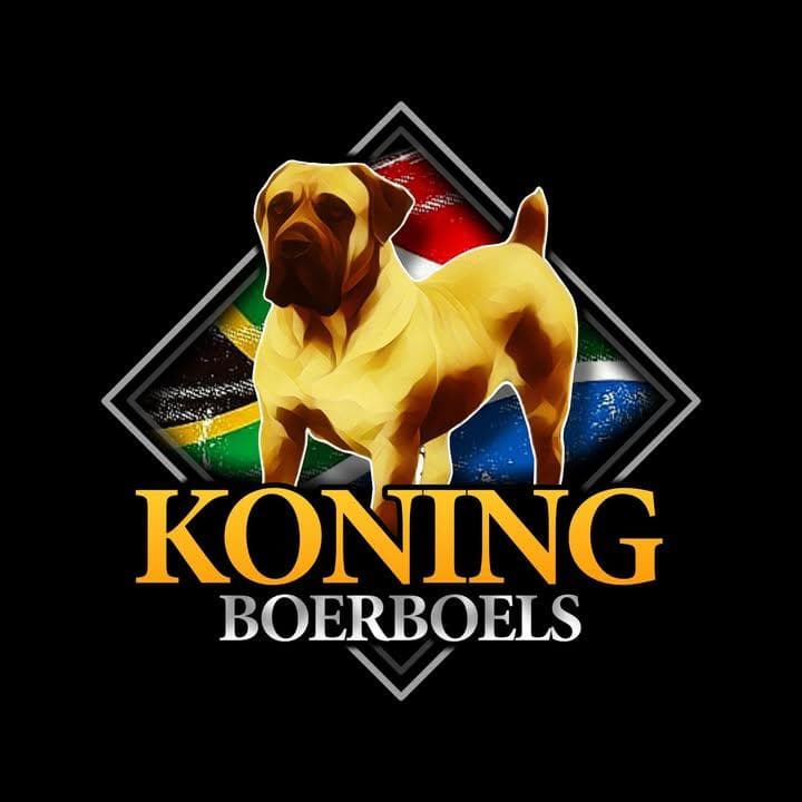 Koning Boerboels profile photo