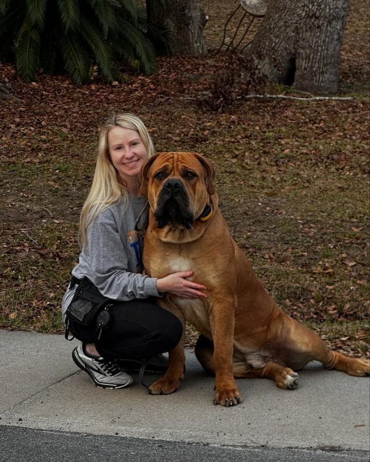 LowCountry Boerboels LLC profile photo