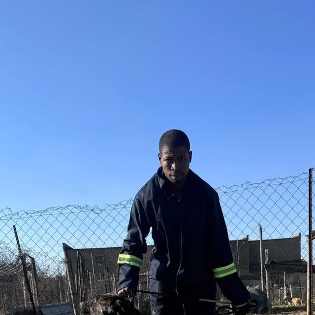 Nsizwa Boerboels profile photo