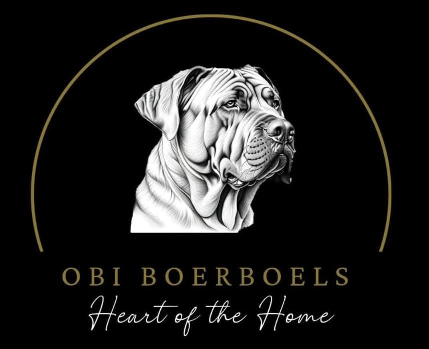 Obi Boerboels profile photo
