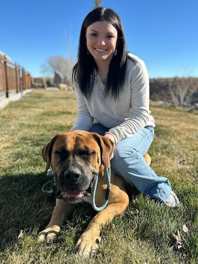 SATA Kennels profile photo