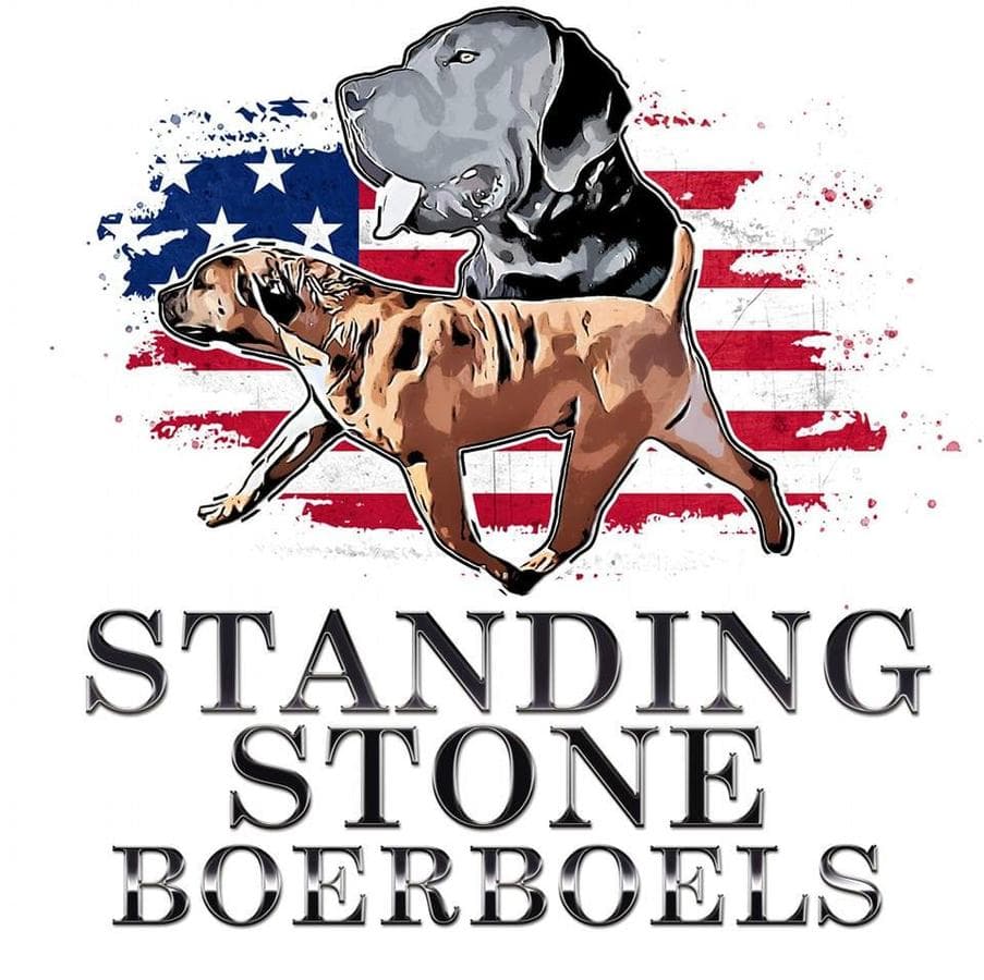 Standing Stone Boerboels profile photo