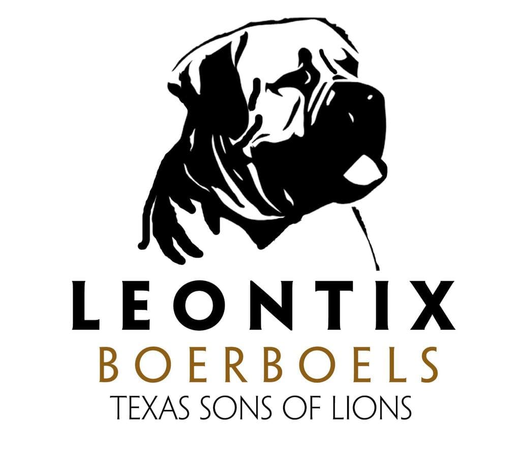 Texas Leontix profile photo