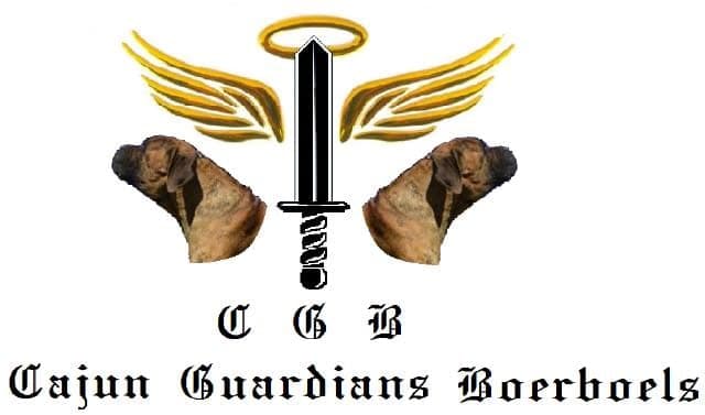 Cajun Guardians profile photo